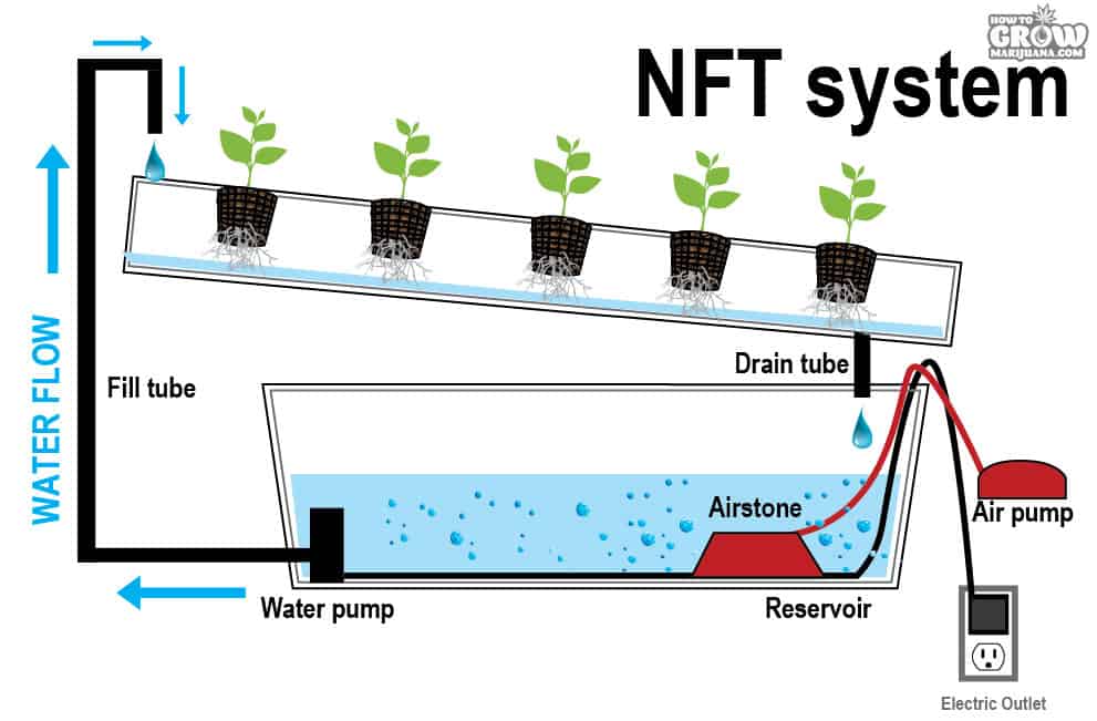 NFT - Nährstoff-Film-Technik hydroponischer Cannabis-Anbau