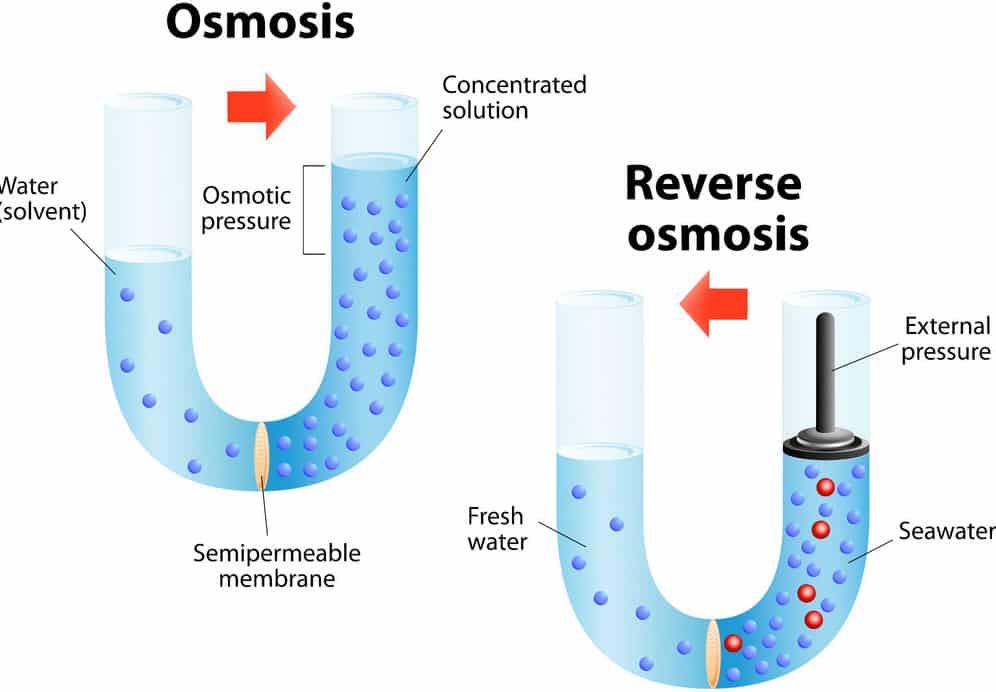 Mechanism von Osmose und Reverse Osmosis
