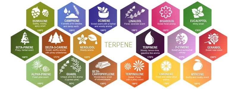 Terpene List with described scents